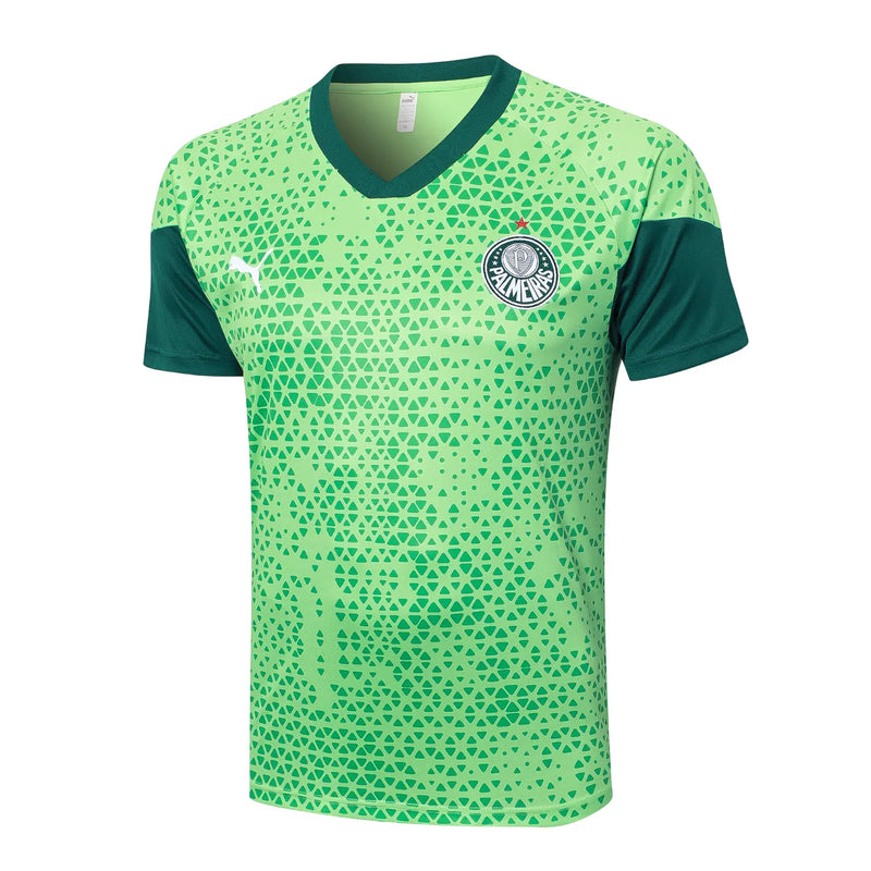 Conjunto Palmeiras Treino 24/25 - Verde