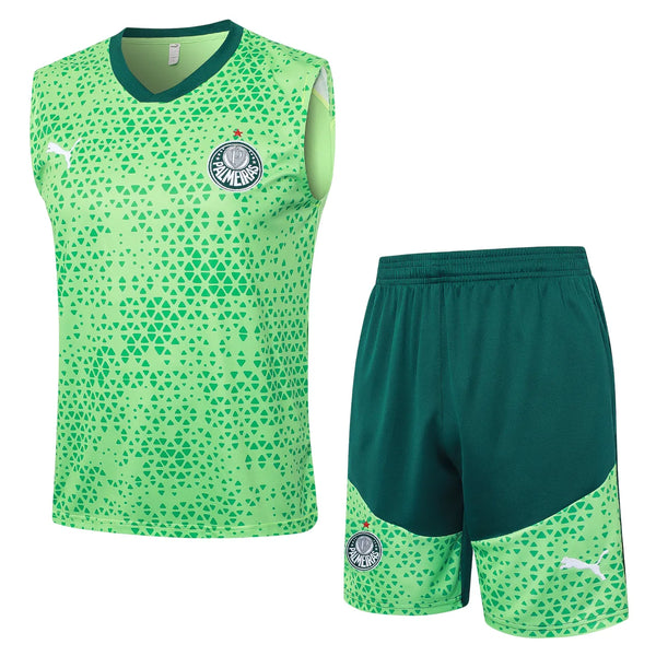 Conjunto Palmeiras Treino Regata 24/25 - Verde